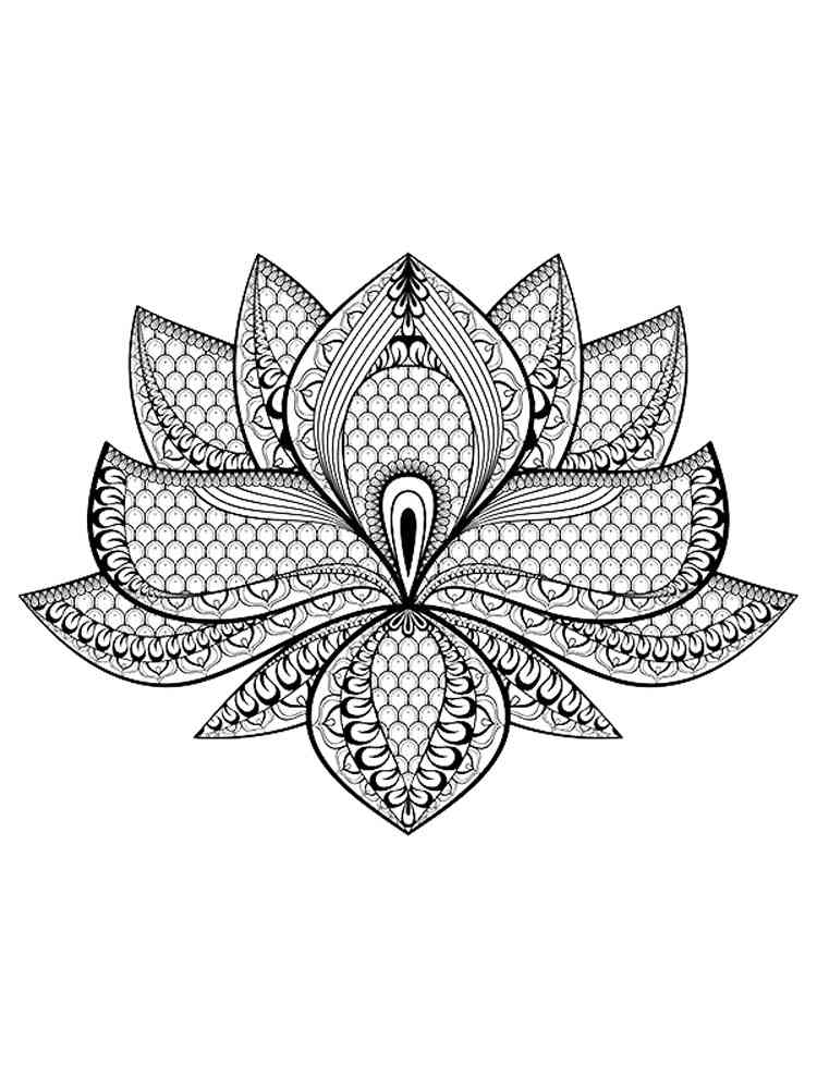 Lotus coloring pages for adults