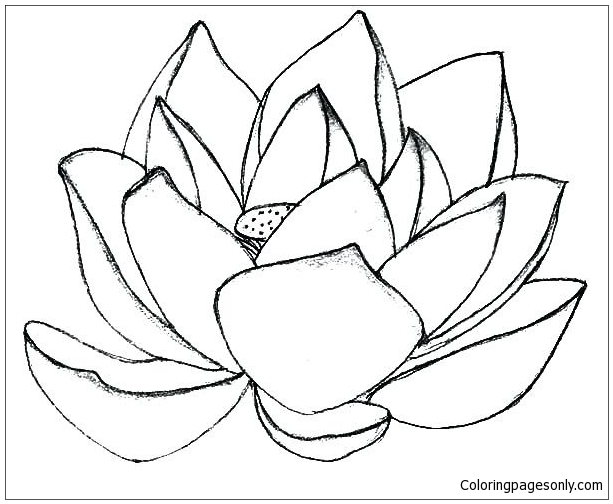 Lotus flower mandala coloring page