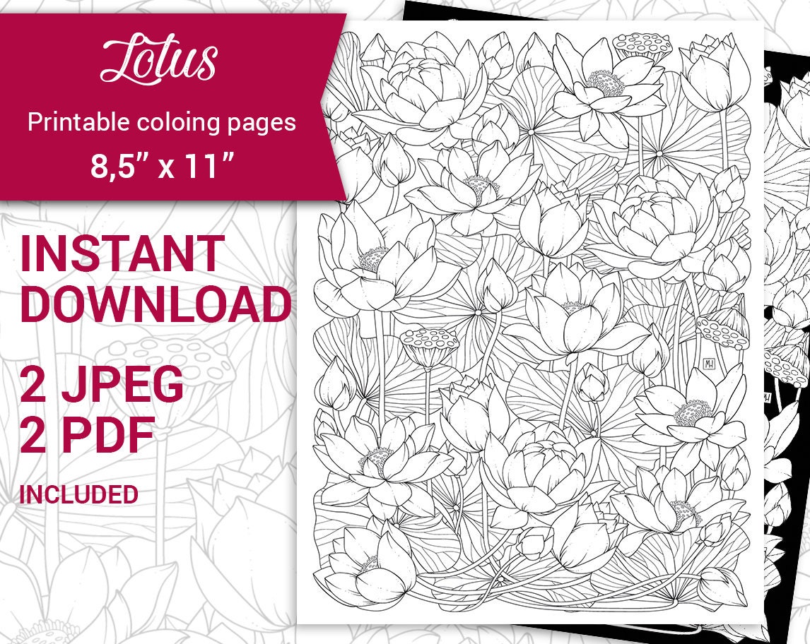 Pdf jpeg printable adult coloring page botanical printable coloring page lotus flowers coloring page x