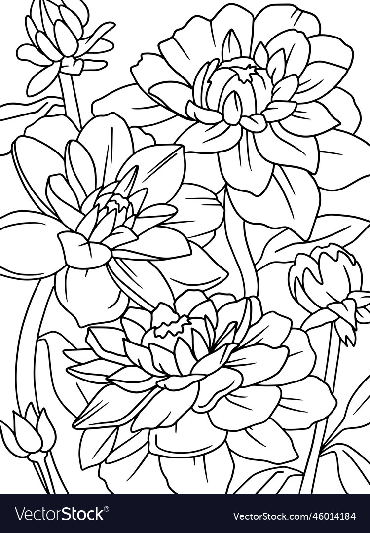 Star lotus flower coloring page with pencil line vector image
