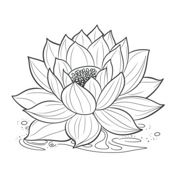 Coloring page of a lotus flower with white background outline sketch drawing vector flower drawing wing drawing ring drawing png and vector with transparent background for free download