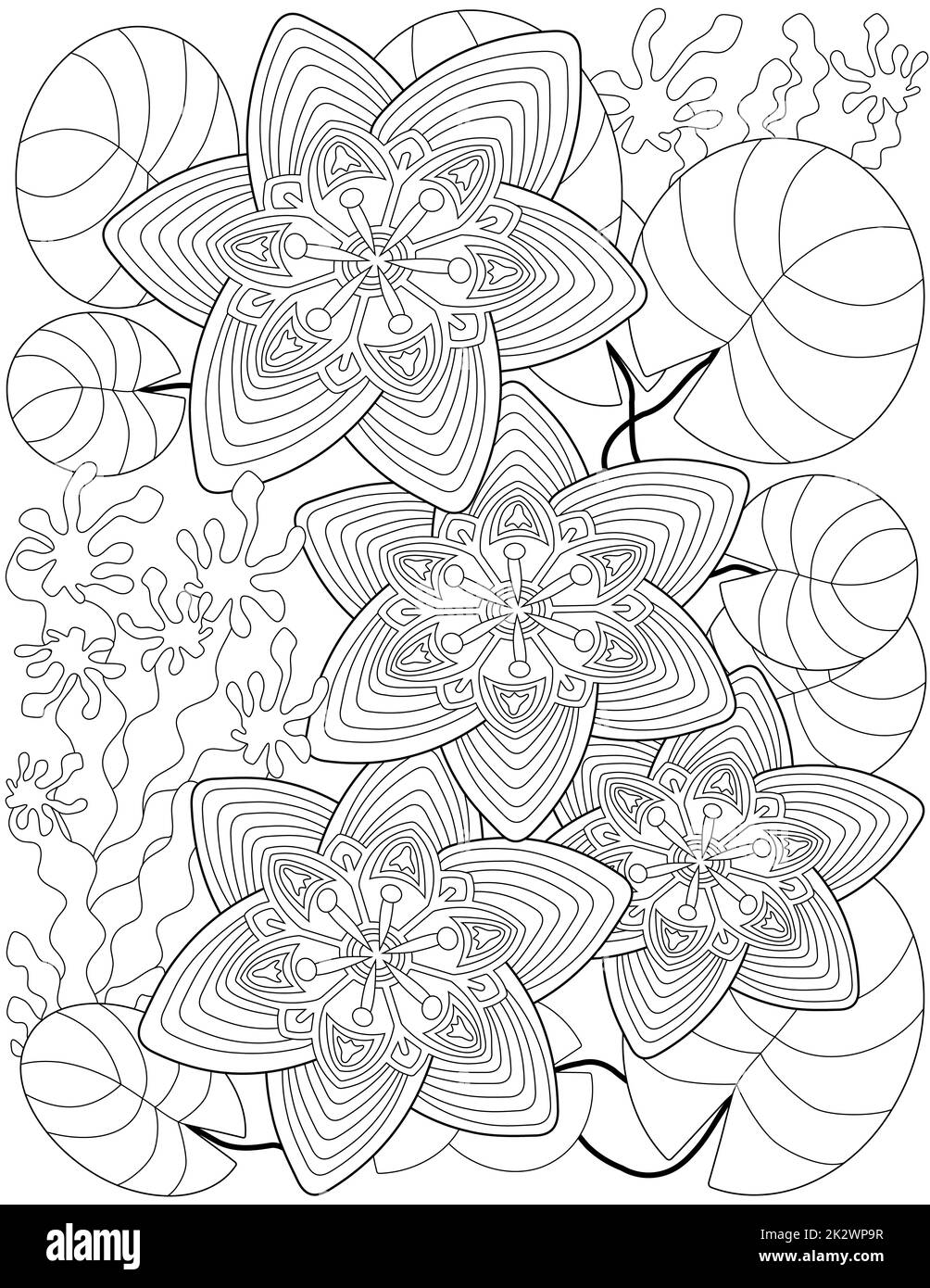 Lotus doodle black and white stock photos images