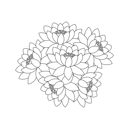 Lotus flower coloring page of simplicity artistic drawn with blossom flower on isolated background stock illustration