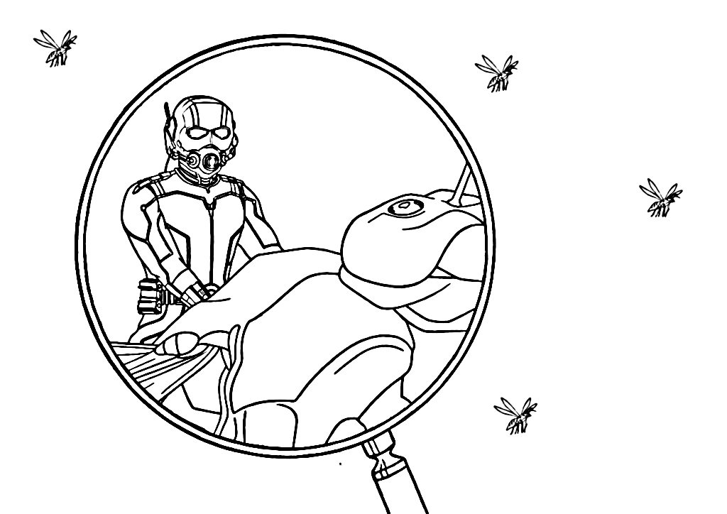 Ant
