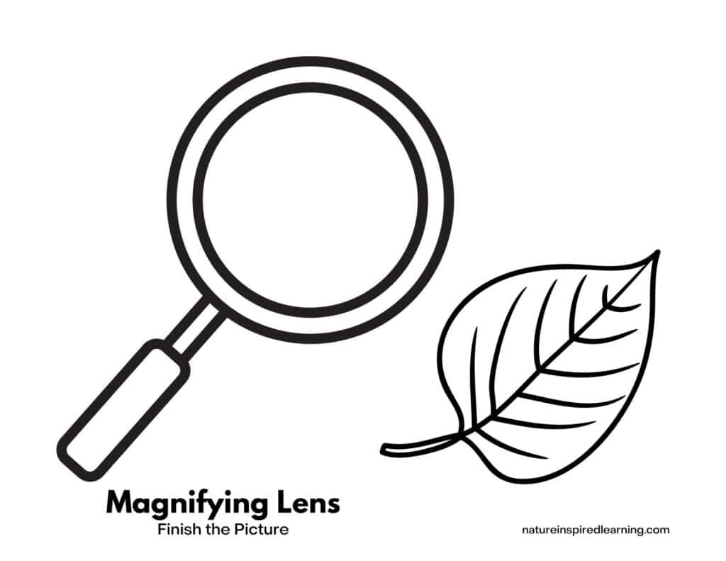 Free finish the picture drawing worksheets
