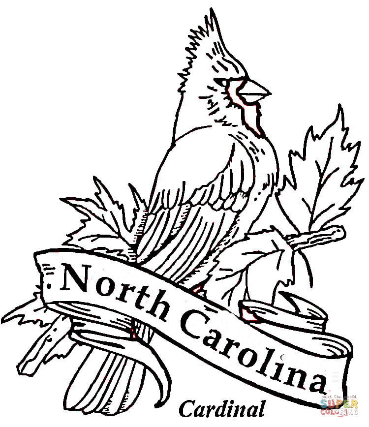 Cardinal bird of north carolina coloring page free printable coloring pages