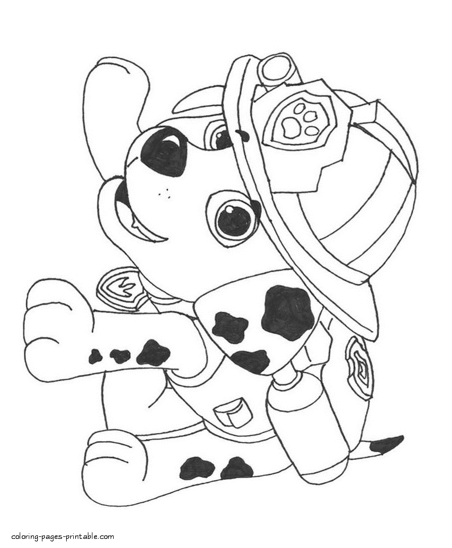 Paw patrol coloring book little marshall coloring