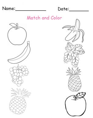 Printable match and color fruit worksheets worksheets free printable worksheets printable worksheets