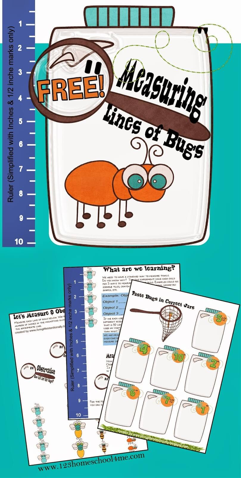Ð free bugs worksheets