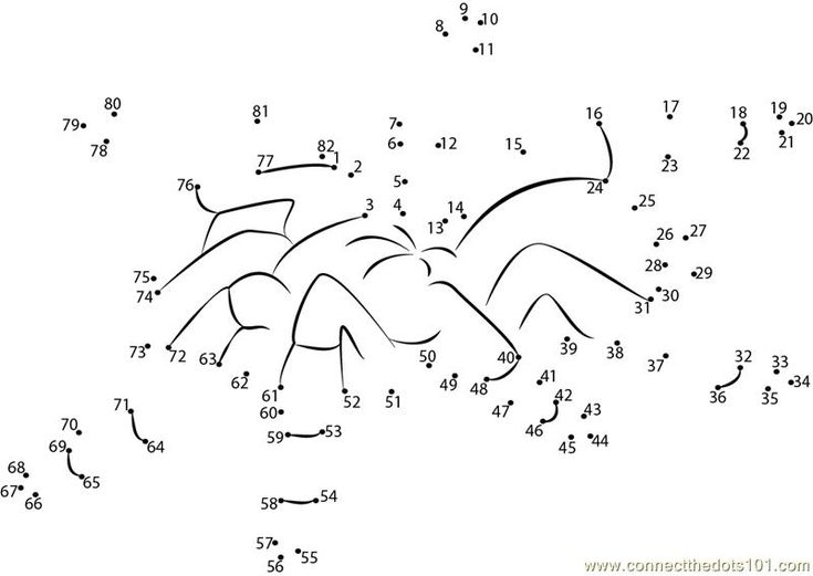 Spider connect the dots worksheet connect the dots mazes for kids halloween web