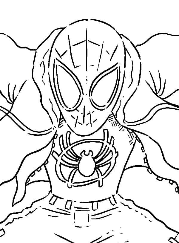 Free spider