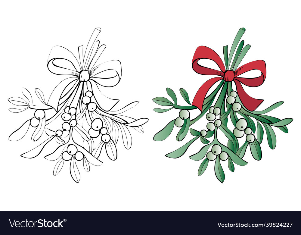 Christmas coloring page mistletoe bouquet vector image