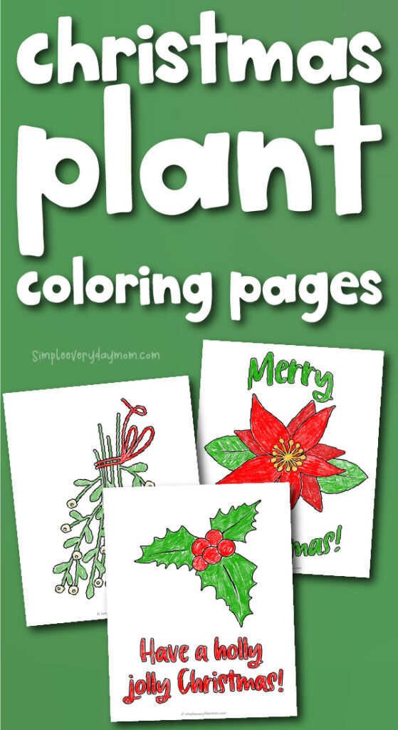 Mistletoe coloring page for kids free printable
