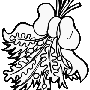 Mistletoe coloring pages printable for free download