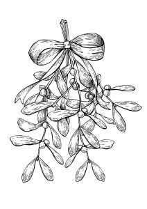 Christmas mistletoe