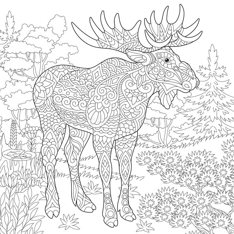Moose coloring page stock illustrations â moose coloring page stock illustrations vectors clipart