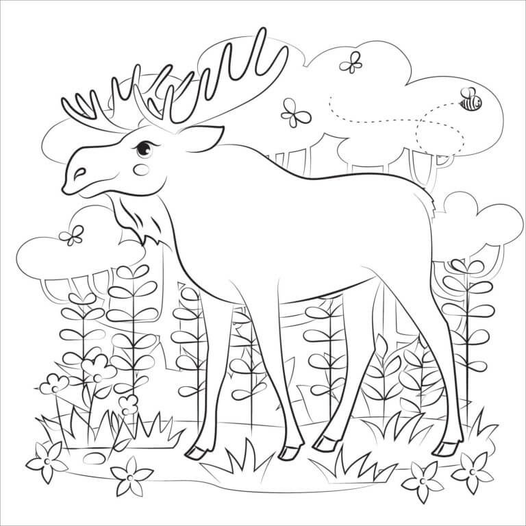 A wise moose in the summer forest coloring page