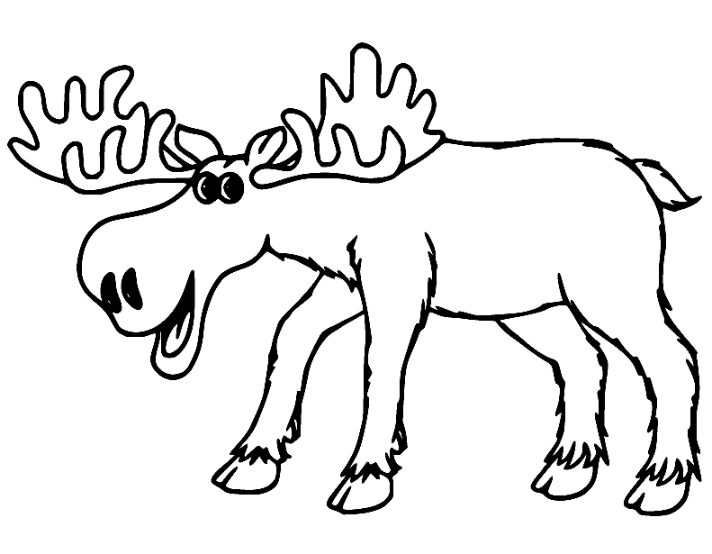 Moose coloring pages printable for free download