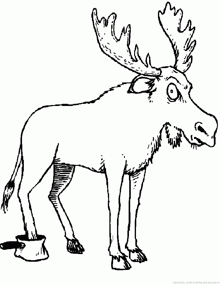 Moose coloring pages