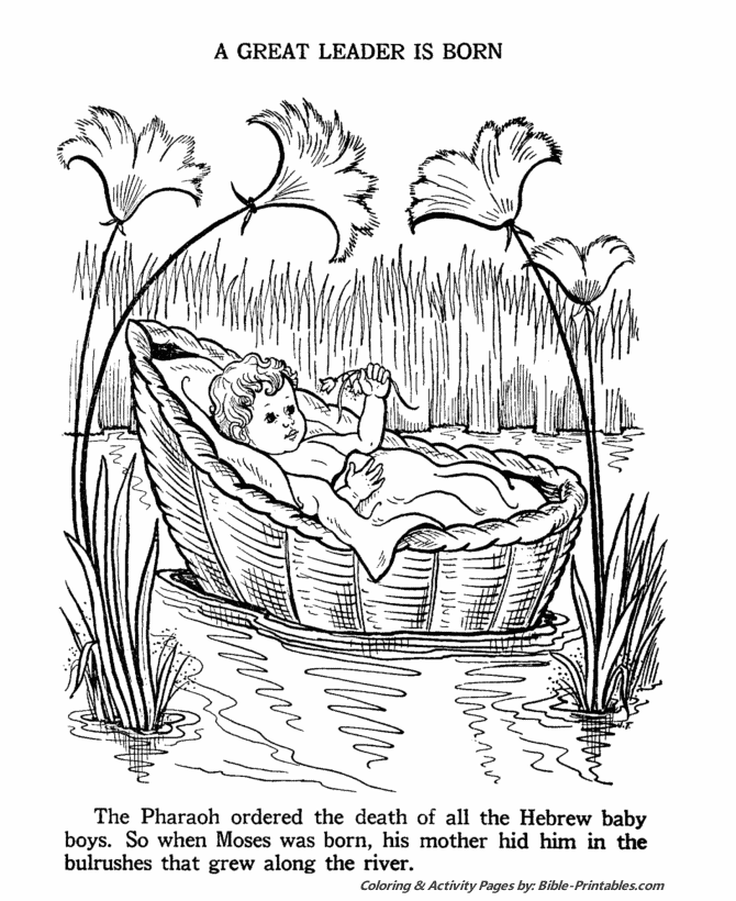 Baby moses