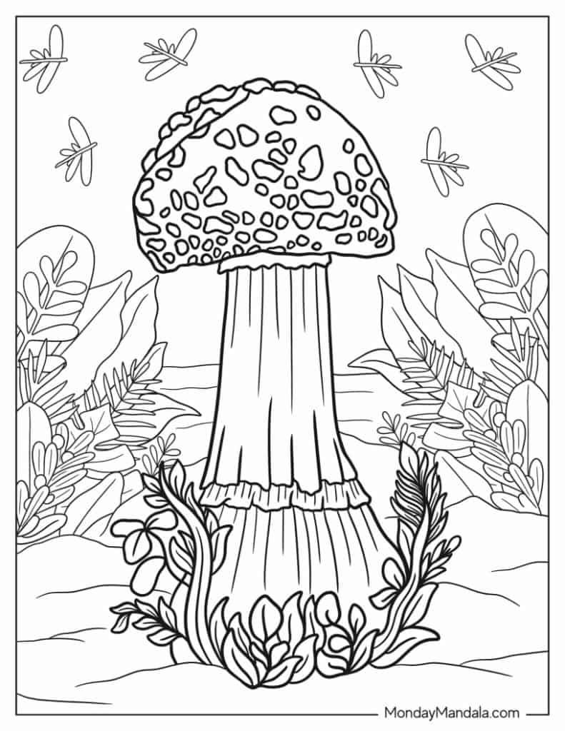 Mushroom coloring pages free pdf printables