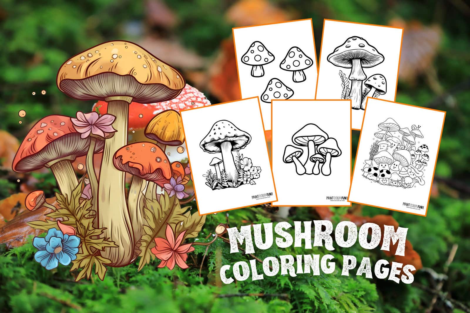 Mushroom coloring pages crafts fun fungus facts to share with your kids at