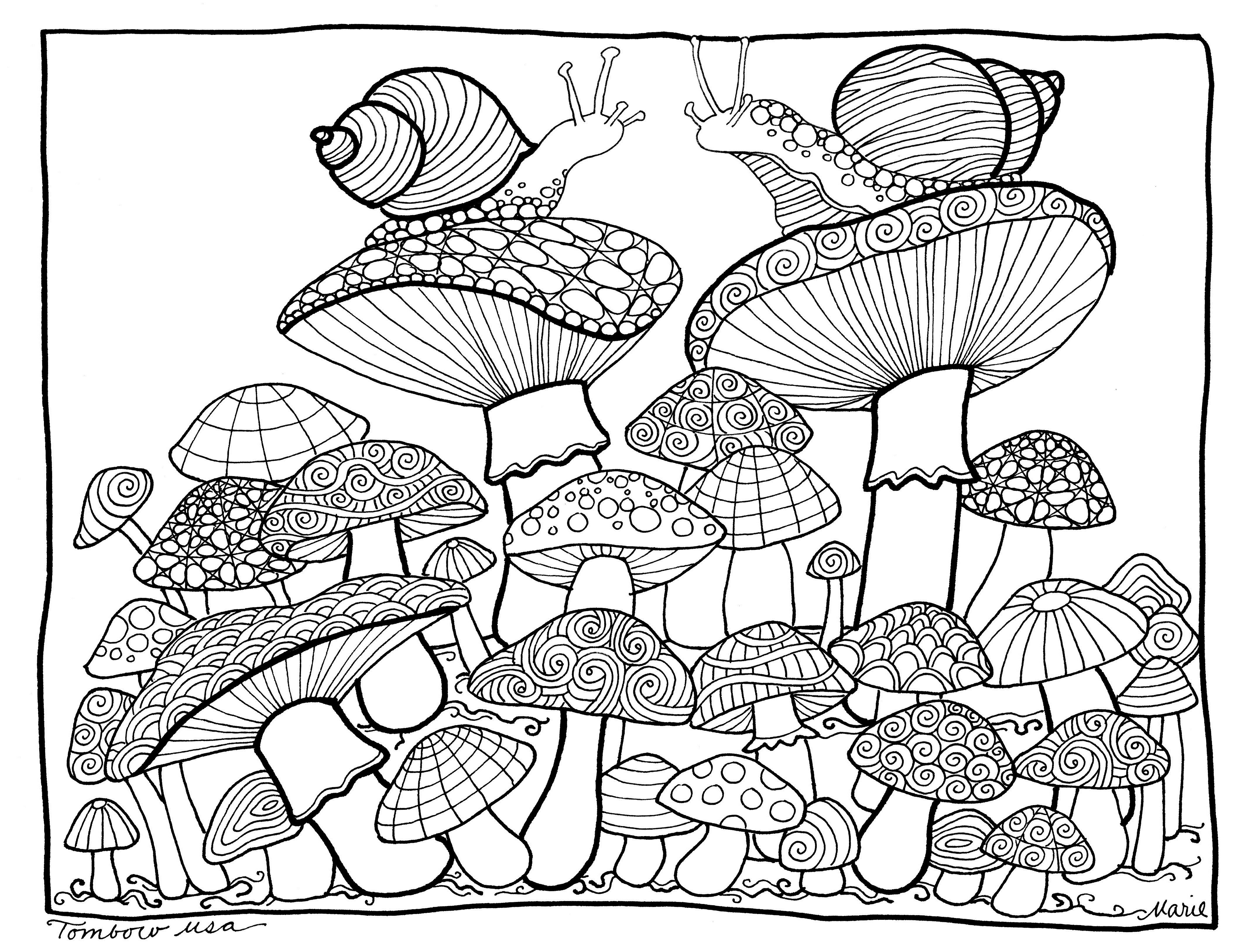Mushroom coloring page detailed coloring pages coloring book pages coloring pages