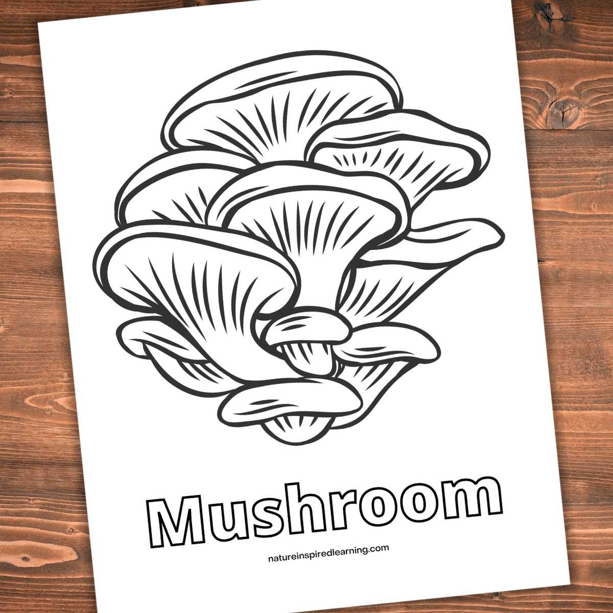 Realistic mushroom coloring pages