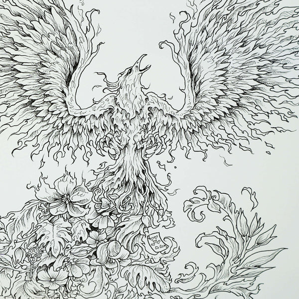 Mythomorphia book by kerby rosanes an extreme colouring and search ch â