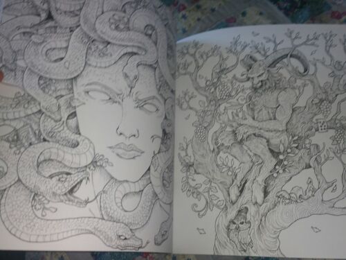 Mythomorphia an extreme coloring and search challenge by kerby rosanes trade paperback for sale online