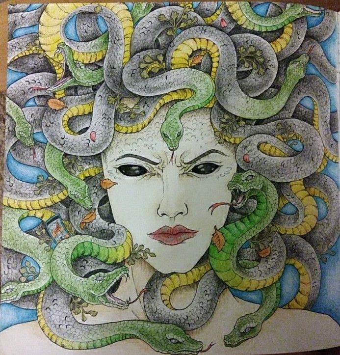 Mythomorphia medusa animorphia coloring book coloring books animorphia coloring