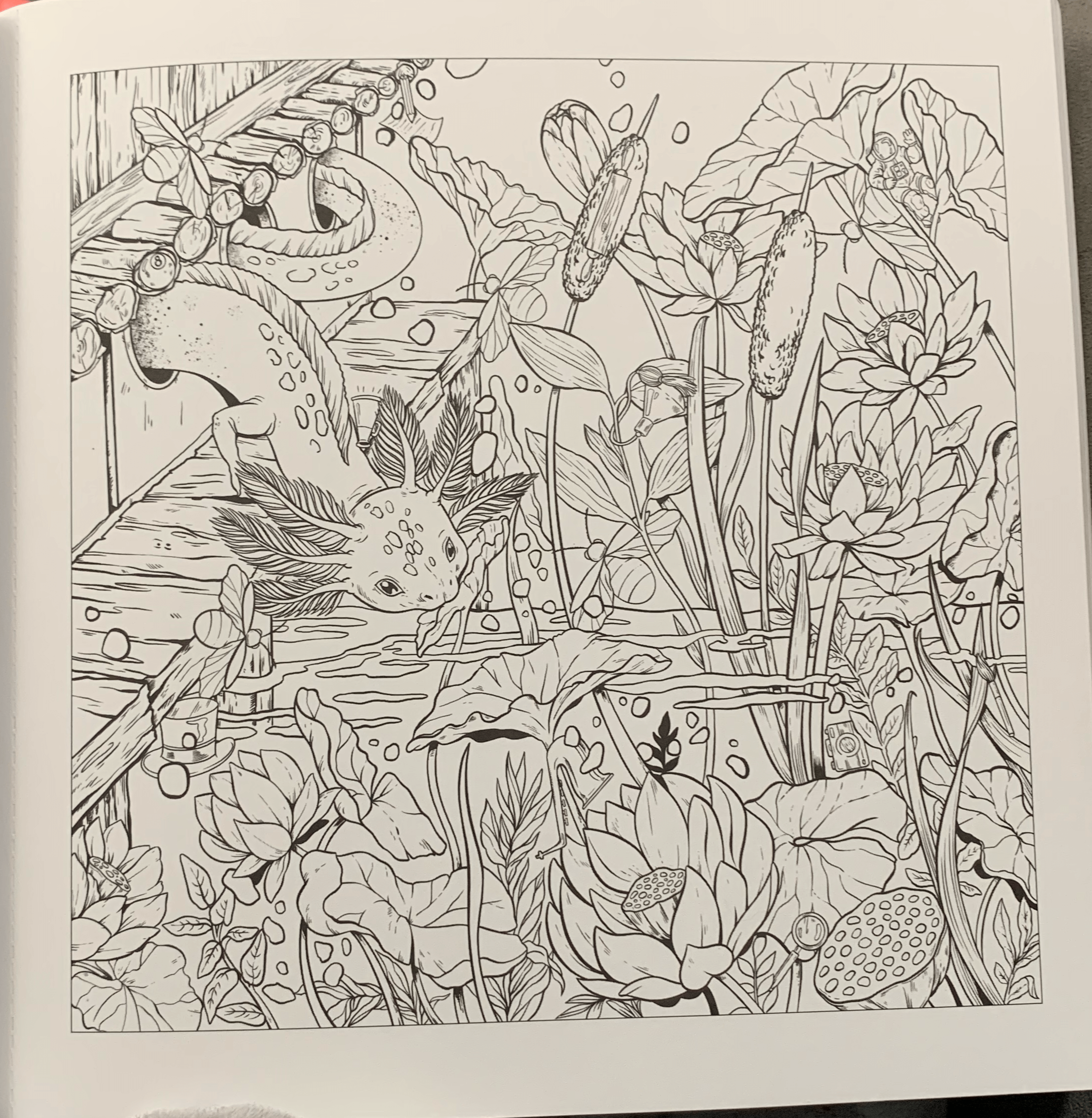 Help me find a detailed coloring book with actually detailed scenes instead of made up mosaics rhelpmefind