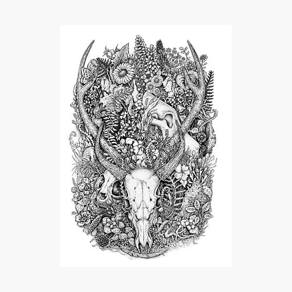 Lifes mystery hunter and prey photographic print for sale by yauheniya batyrava