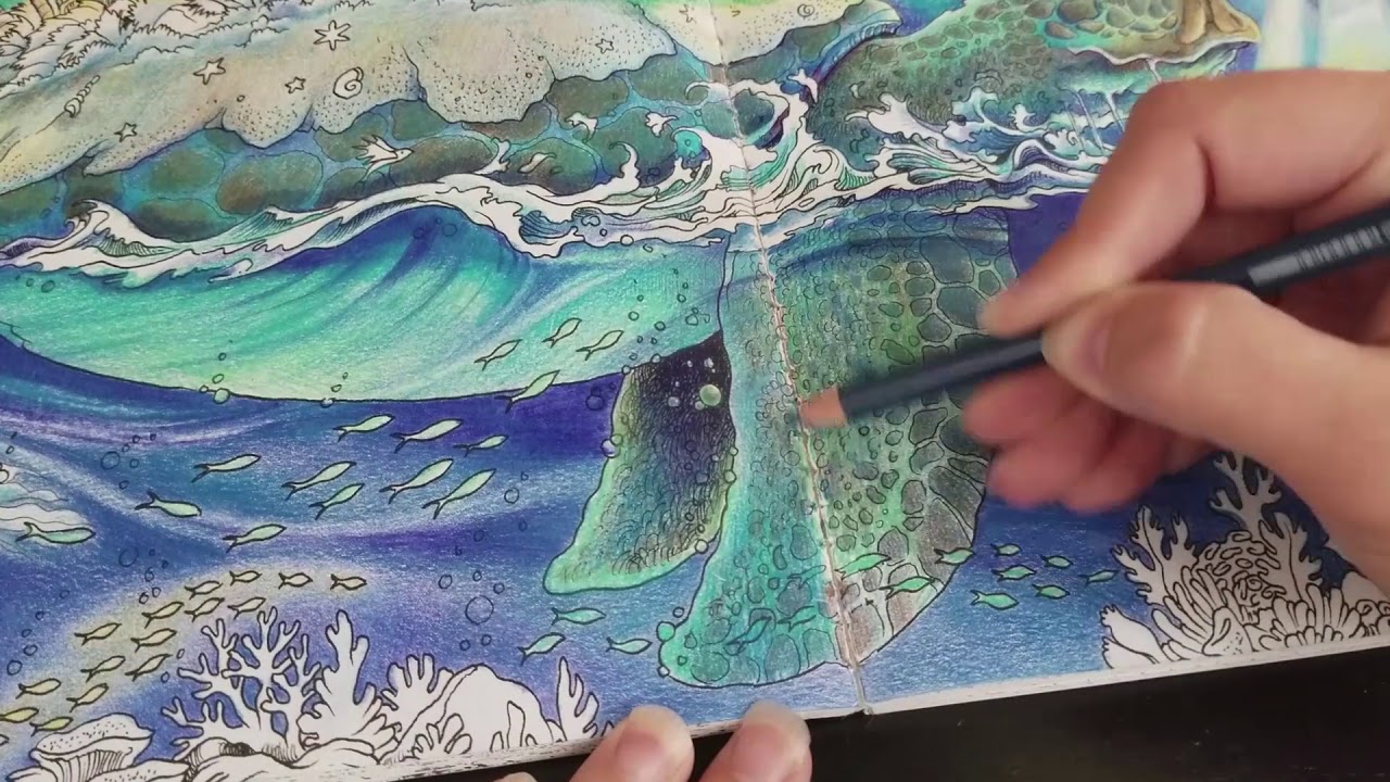 Tea turtle coloring page fro ythoorphia by kerby rosanes