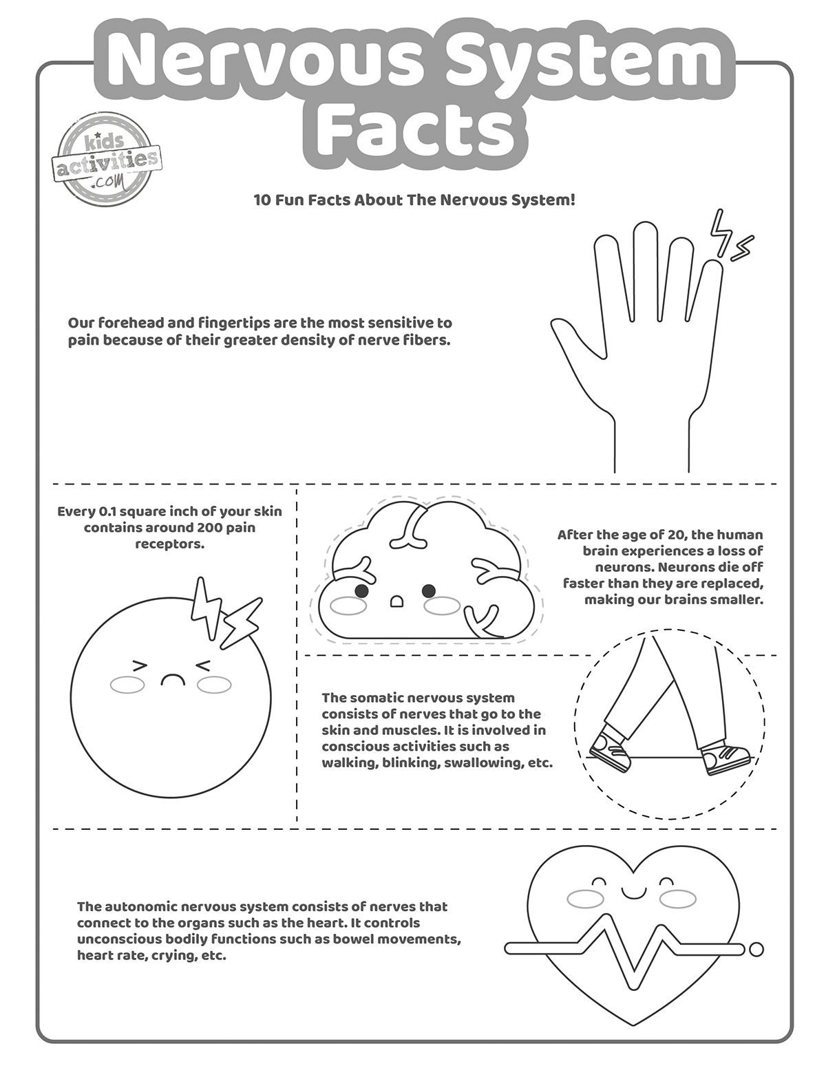 Neat facts about the nervous system facts kids activities blog