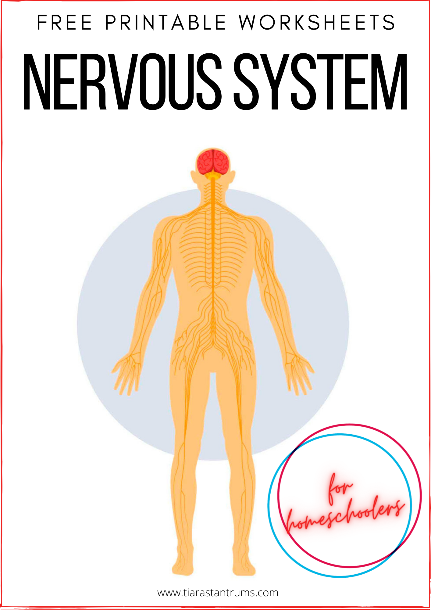 Free nervous system worksheets printable â tiaras tantrums
