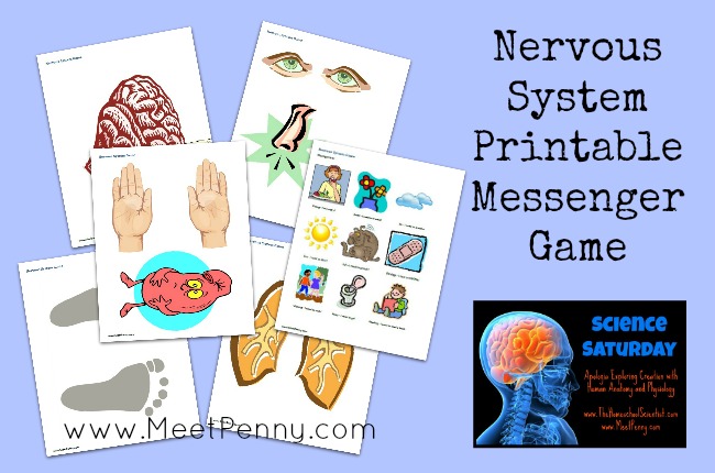 Free nervous system printable messenger game