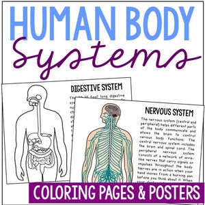 Human body systems coloring pages activity science printables anatomy worksheets homeschool curriculum biology life science
