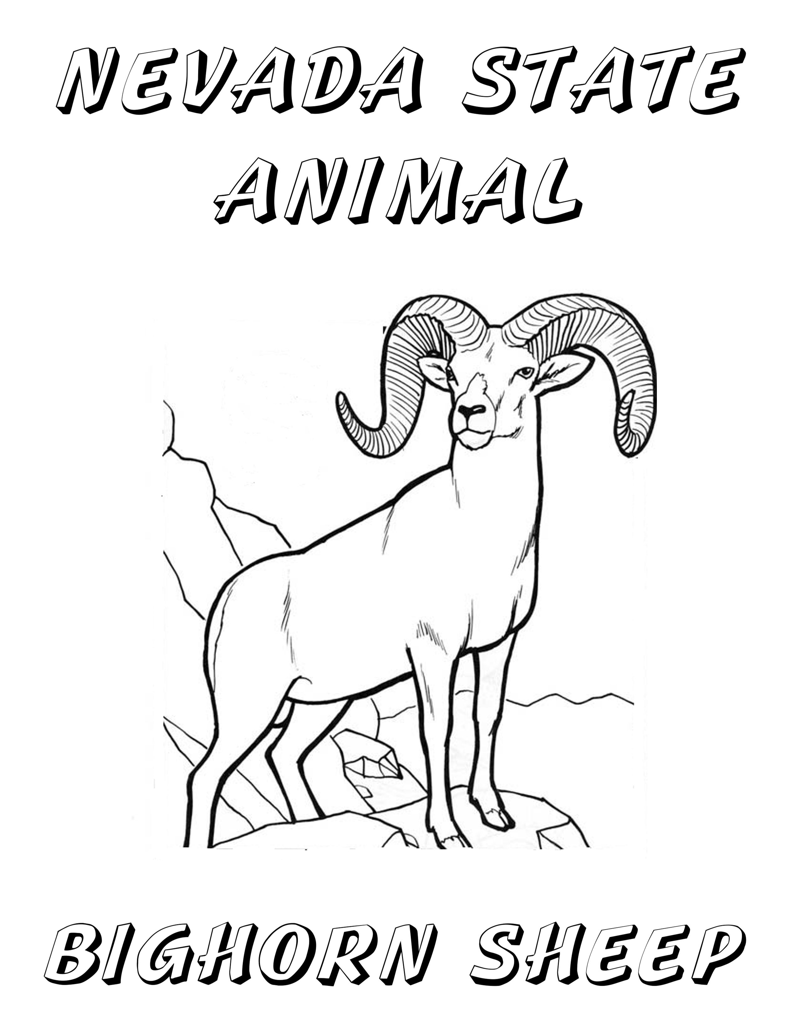 Nevada state animal coloring page sketch coloring page flag coloring pages coloring pages nevada state