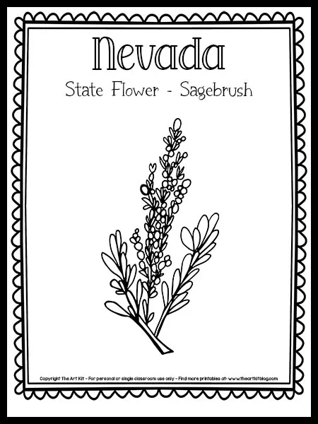 Nevada state flower coloring page sagebrush free printable â the art kit