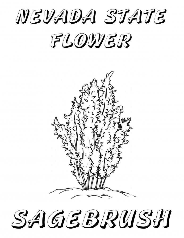 Free printable nevada coloring book celebrate nevada day windy pinwheel flag coloring pages nevada state nevada
