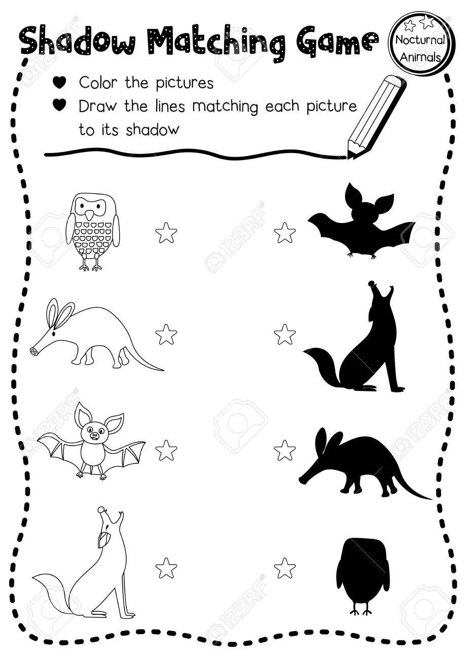 Shadow matching game of nocturnal animals for preschool kids activity worksheet layout in a coloring printable version vector illustration royalty free svg cliparts vectors and stock illustration image