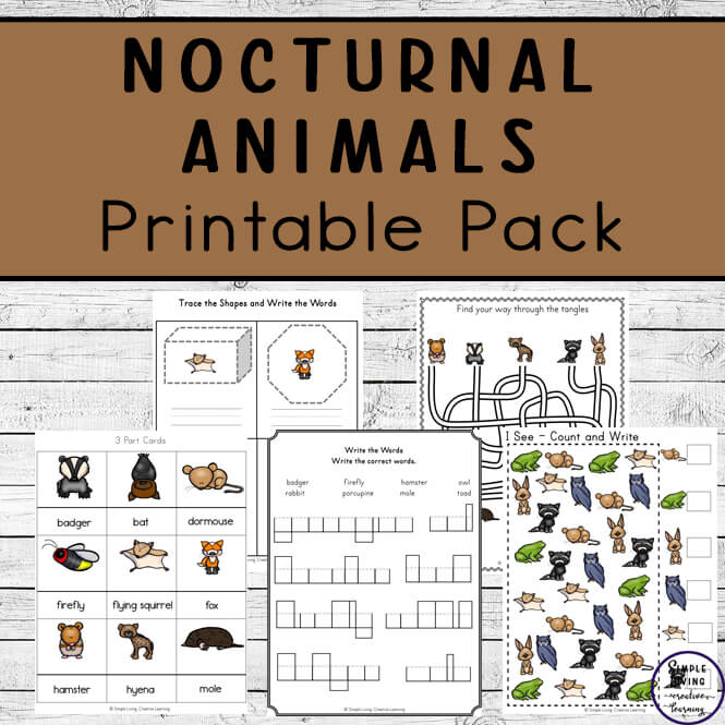 Nocturnal animals printable pack
