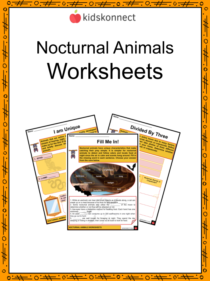 Nocturnal animals worksheets examples adaptations habits