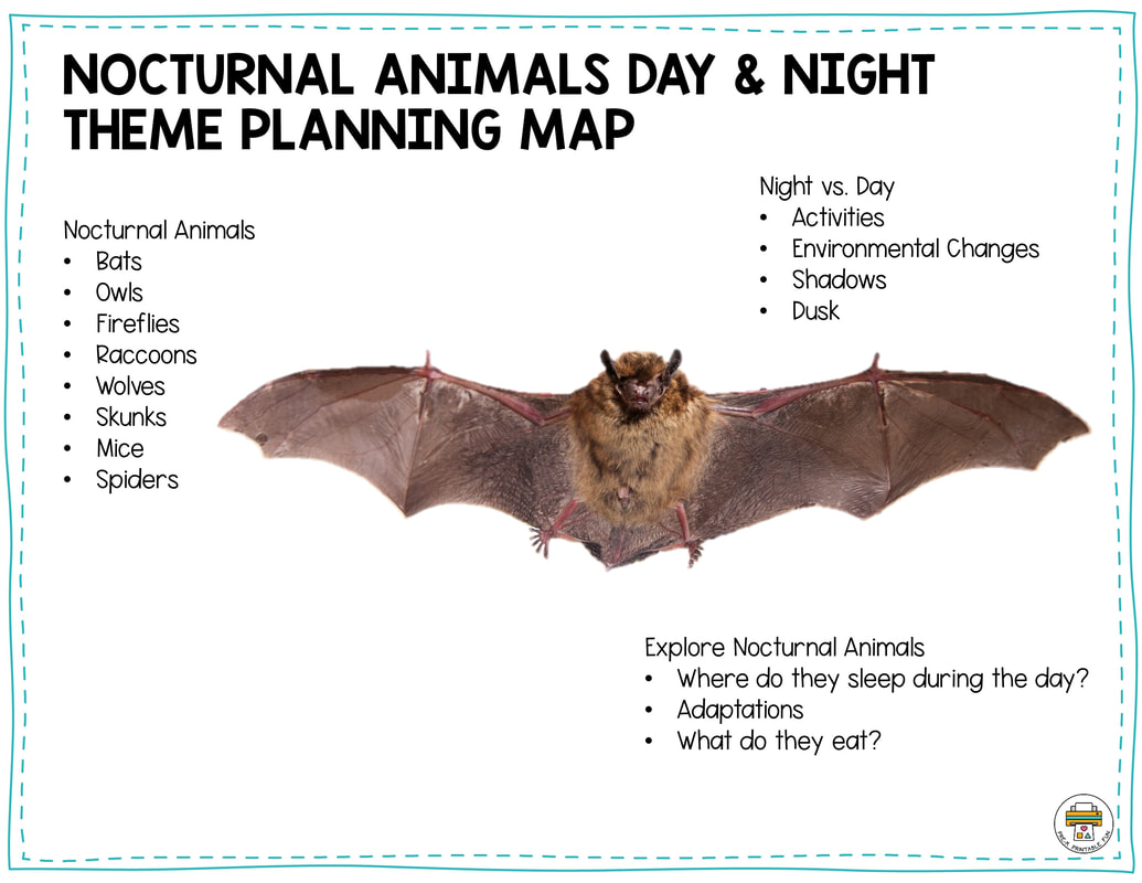 Nocturnal animals lesson planning page