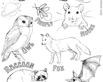 Nocturnal critters coloring page animal and plant coloring page homeschooling backyard natur coloring pages science activities for kids