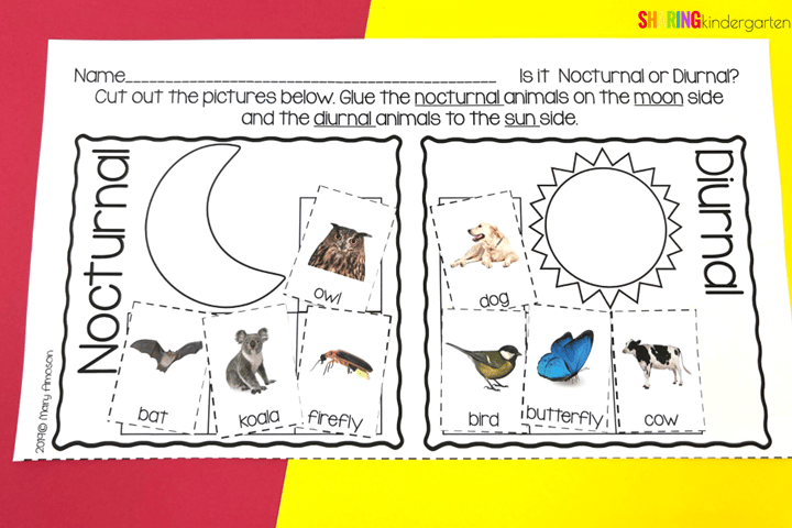Fun nocturnal animals activities for kindergarten