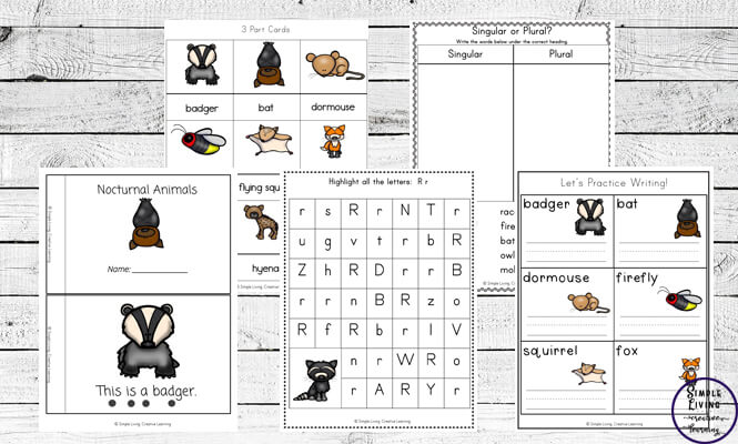 Nocturnal animals printable pack
