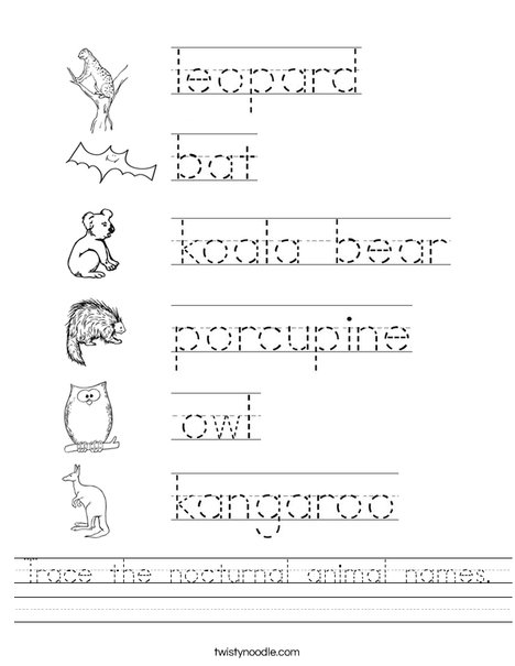 Trace the nocturnal animal names worksheet