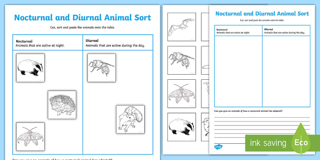 Nocturnal animals and diurnal animals worksheet primary